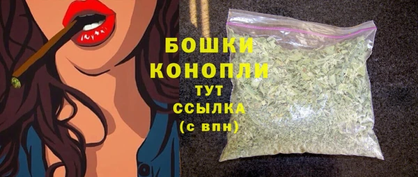 гашик Аркадак