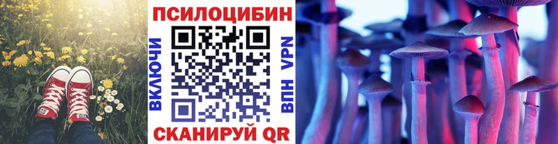 Галлюциногенные грибы ЛСД  гидра зеркало  Пущино 