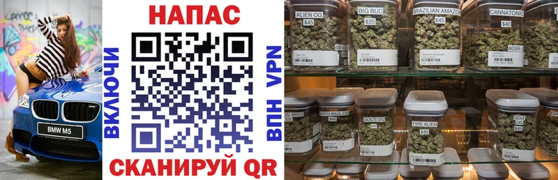 Марихуана индика Пущино
